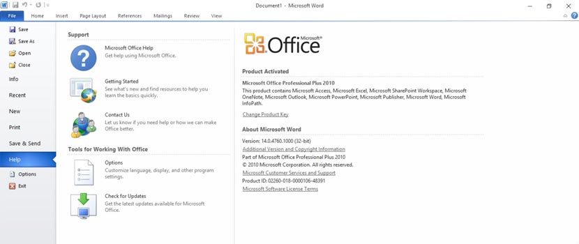 Microsoft Office 2010 Professional mais SP2