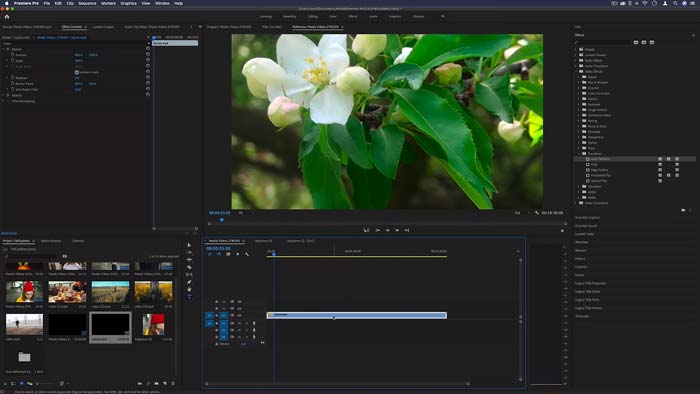 Premiere Pro CC 2020 MacOS completo